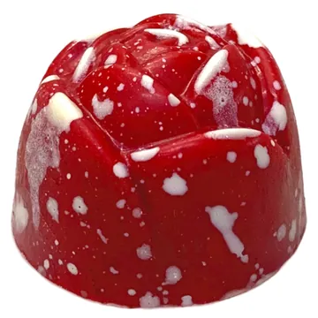 Passionfruit Rose praline