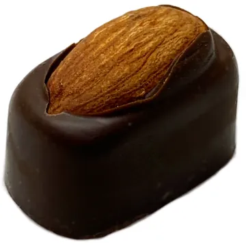 Almond Admirer praline